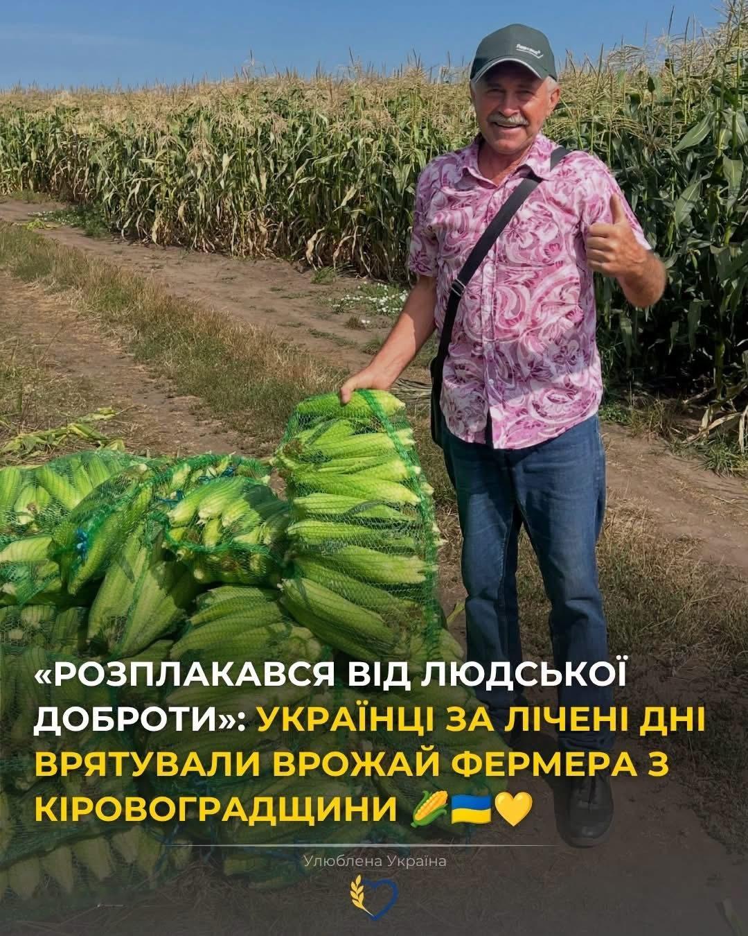 “因人们的善意感动落泪”：乌克兰人3天救下农民的玉米收成 🌽🇺🇦💛基洛沃