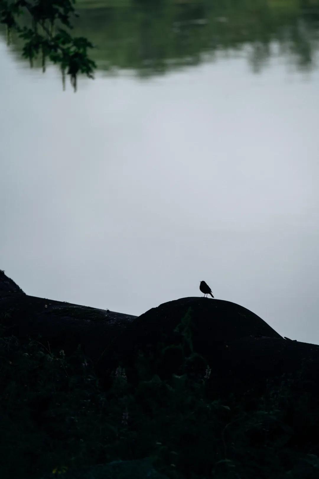 明日农历七月十五日，中元节，在民间也叫鬼节。
 
幼时常被大人吓唬：“七月半，鬼