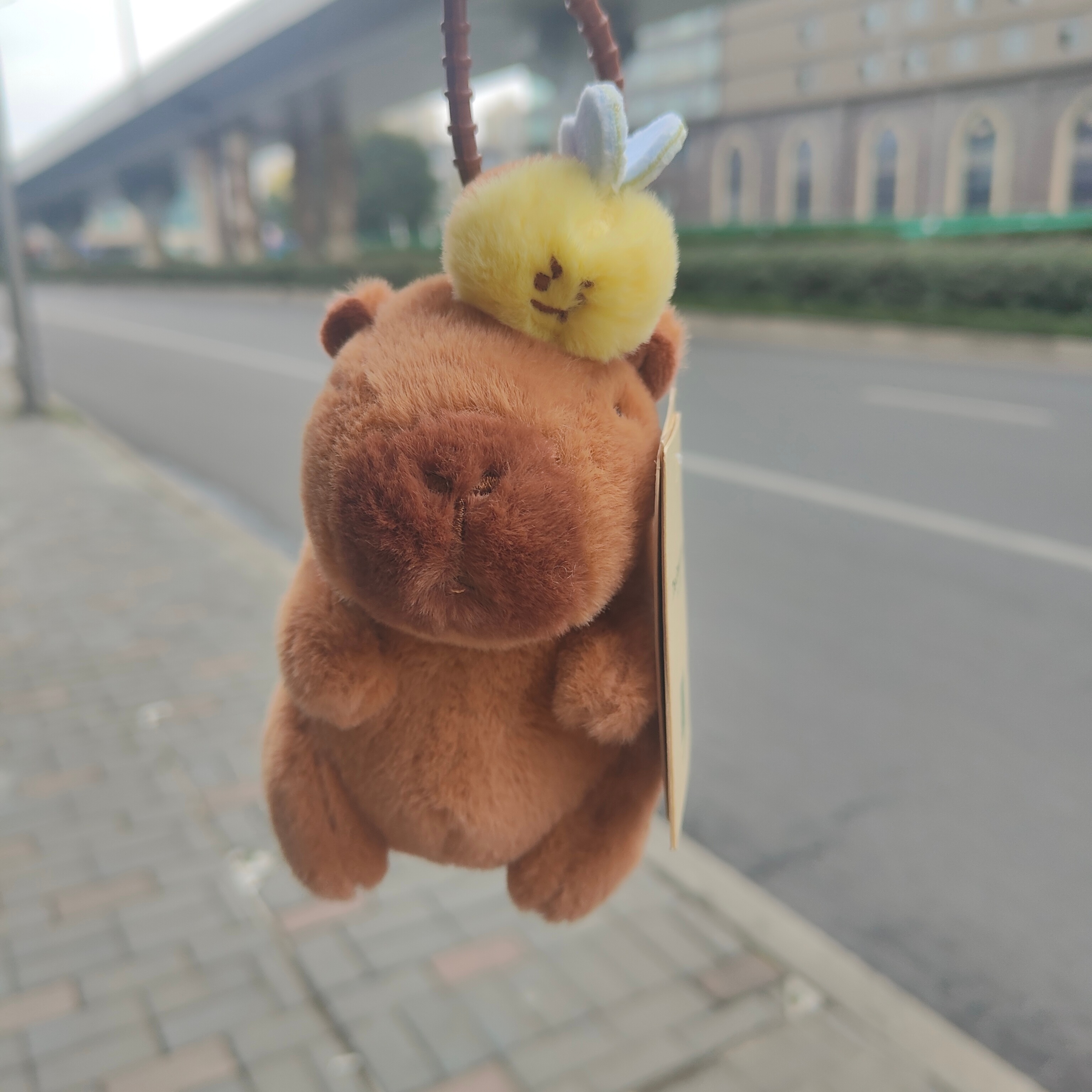 如果你知道我有这么大方的同担你也会觉得我命好  