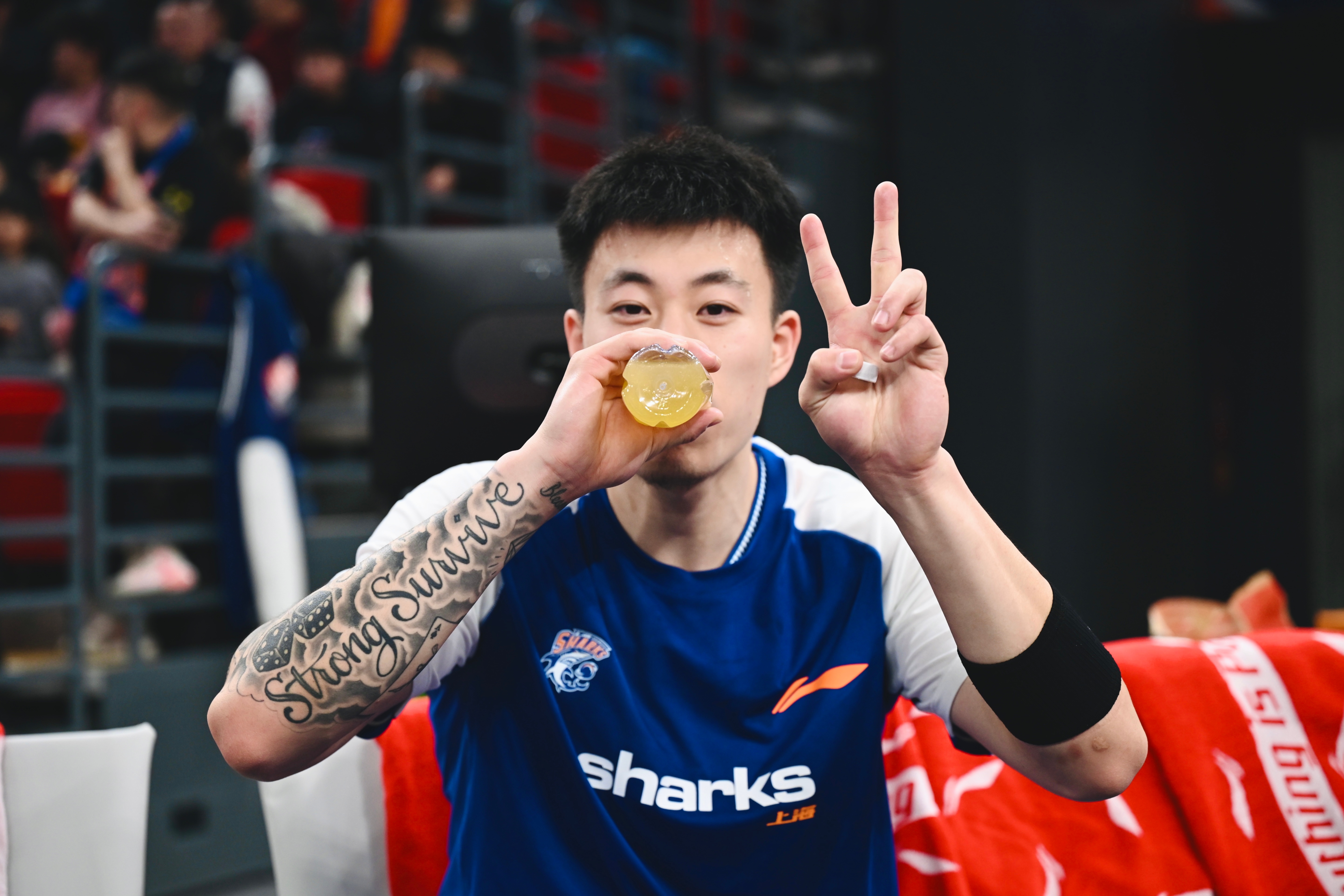 上海久事大鲨鱼