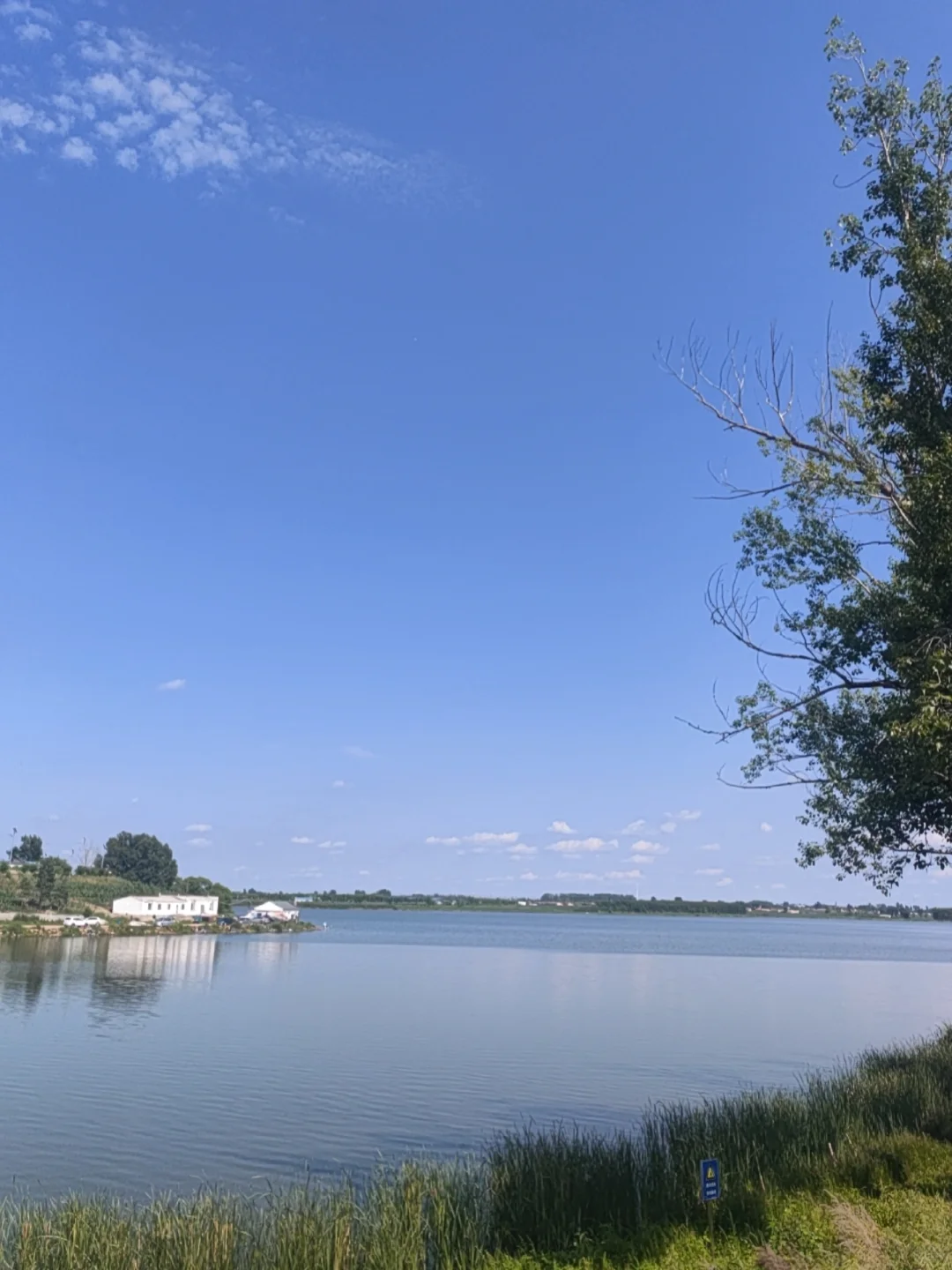 姐要加班了。姐这几天不上了