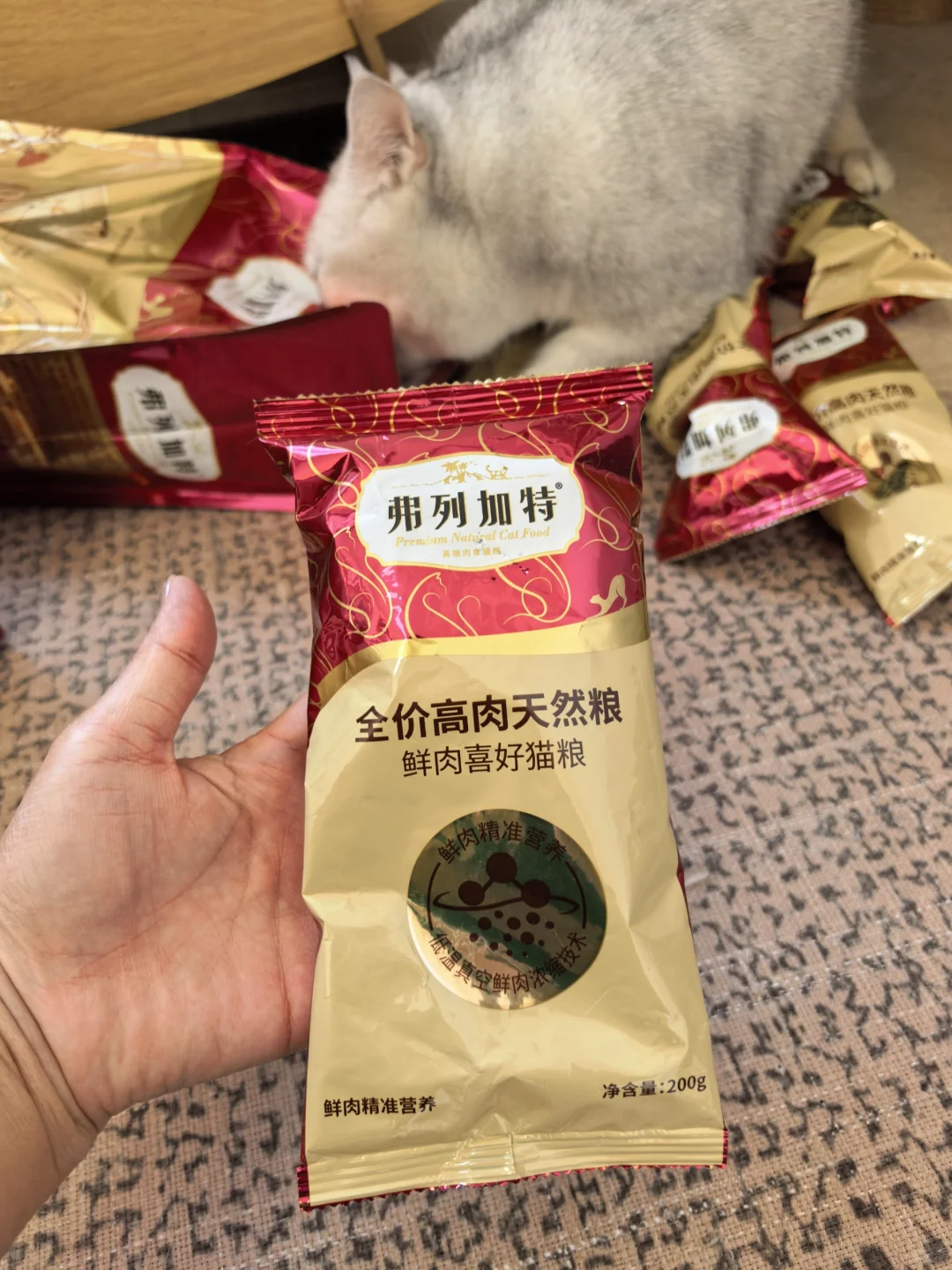 喂不出胖猫，只能喂出壮猫