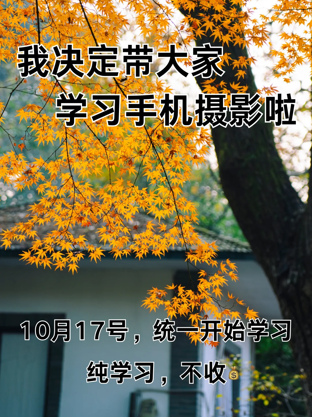 我决定带大家学习手机摄影啦！！