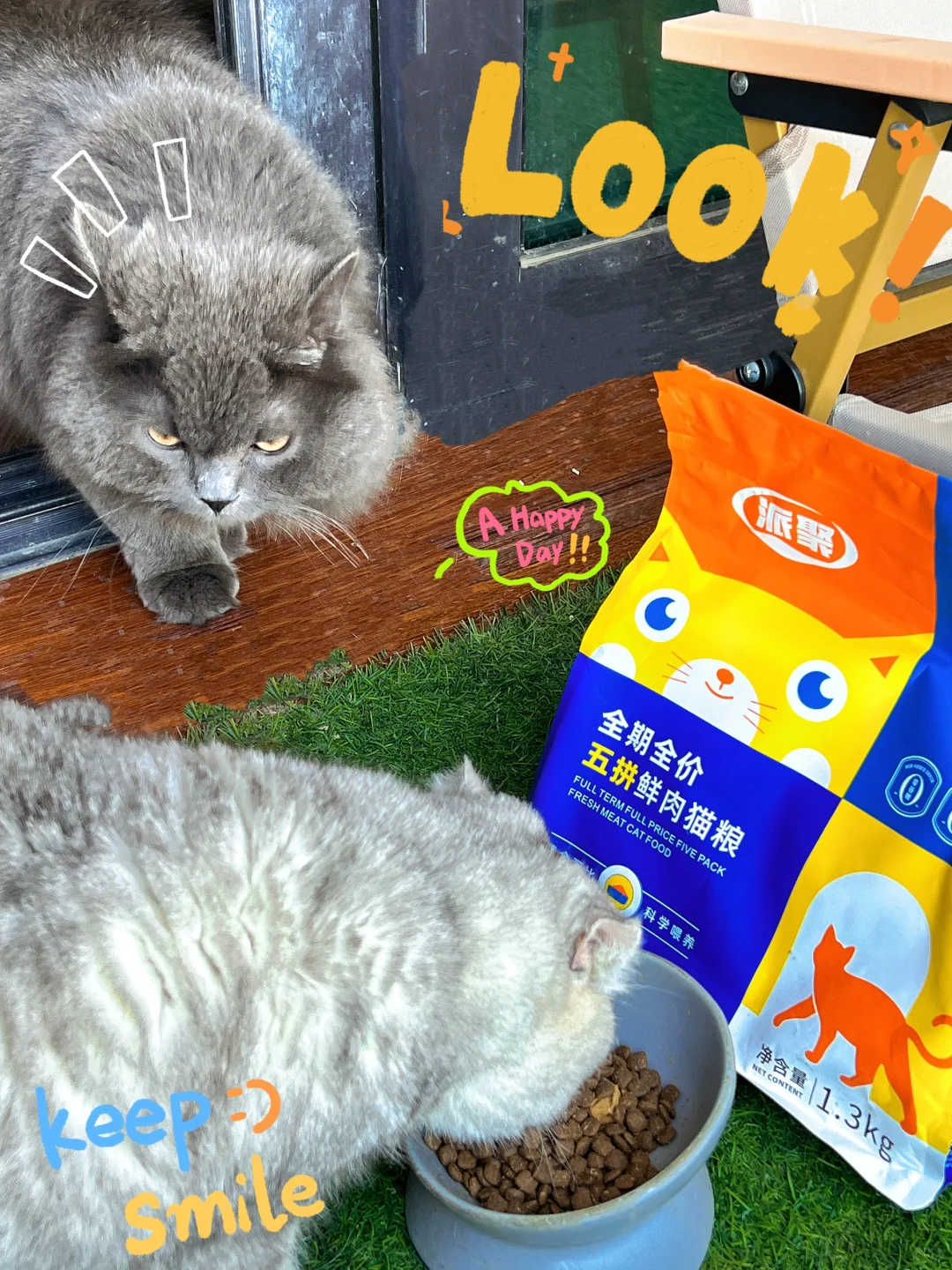 🔥平价国产猫粮之光！骂它？不存在的！🐱