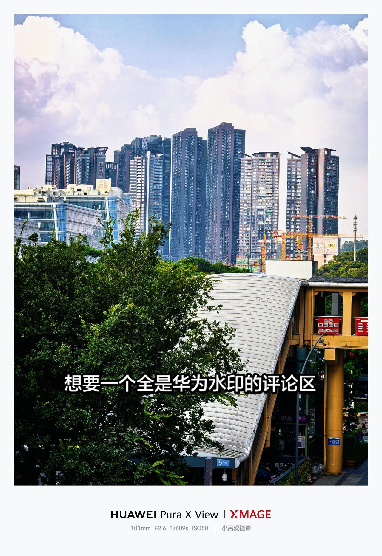 城市里的精神栖息地 城市风景随拍 城市幸福感 摄影 华为PuraXMax