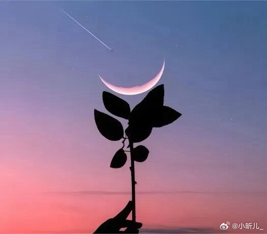 总有那么一瞬间，突然觉得生活好累，心里藏着疲惫和委屈，表面却在努力的讨好生活，在