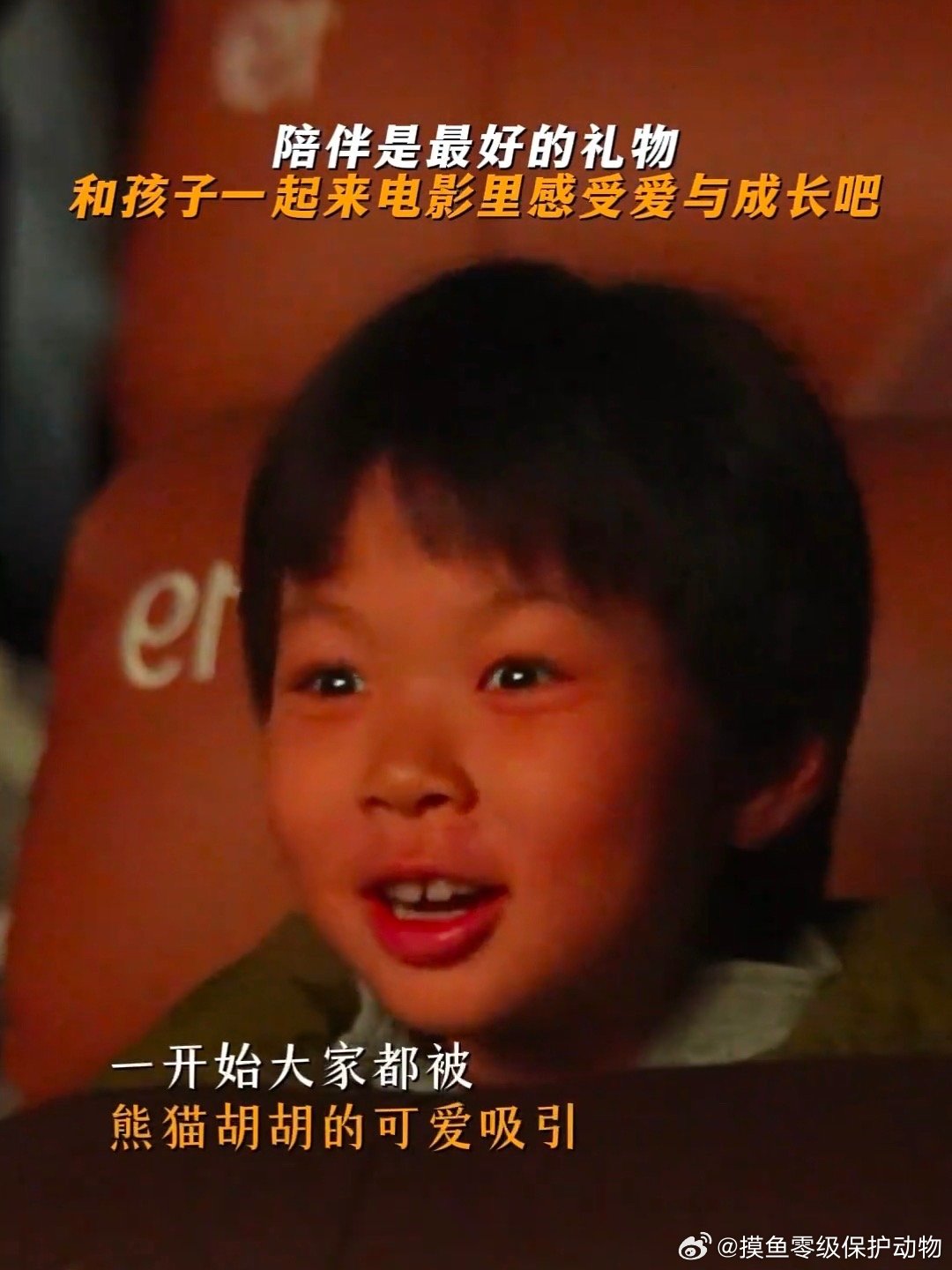 你不带娃不知道熊猫计划的含金量带娃看电影的正确打开方式：《熊猫计划之部落奇遇记》