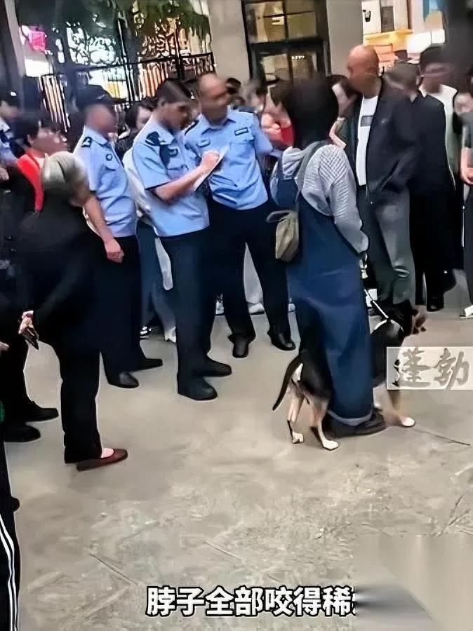 遛狗只牵绳？

大错特错！

最近四川眉山那起狗咬人事件，真的看得人后背直冒冷汗