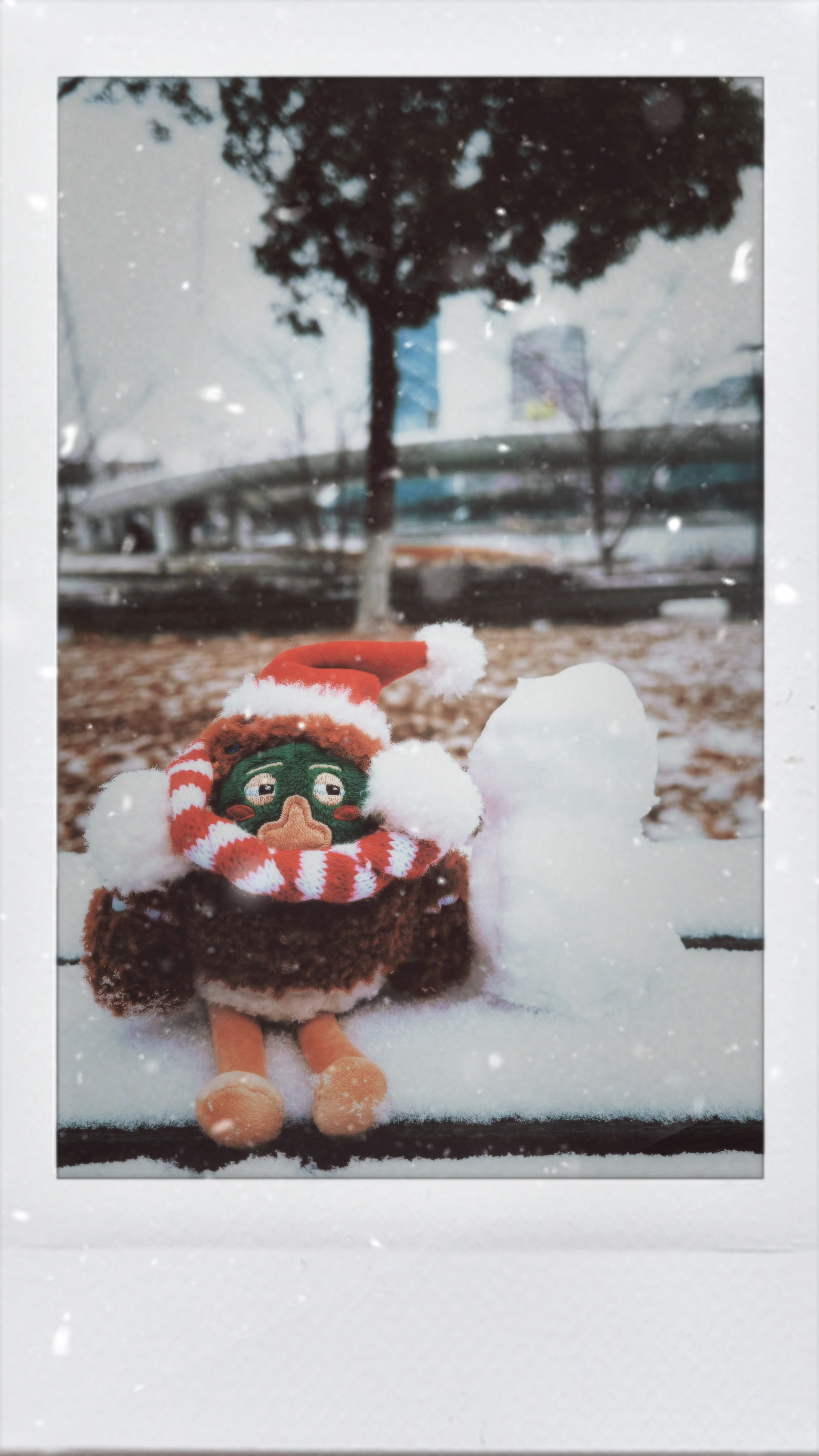 林俊杰  下雪🌨️啦！！给kiku拍点📷雪照大寒过去，春天就不远了☺️ 