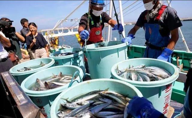 两年前，日本不顾全球反对把核污水往海里倒，那时候多少人骂啊！海鲜市场冷清得连鱼腥