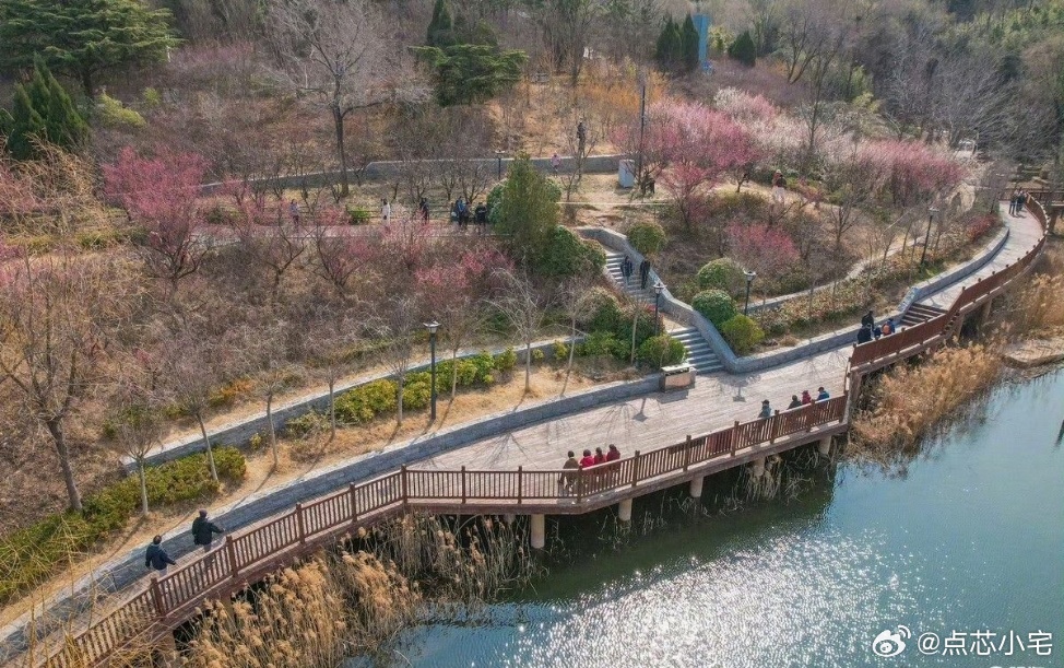 青岛赏花节花漾梅好春满青岛来了来了，第二届青岛赏花节暨第二十六届梅花节终于来了。