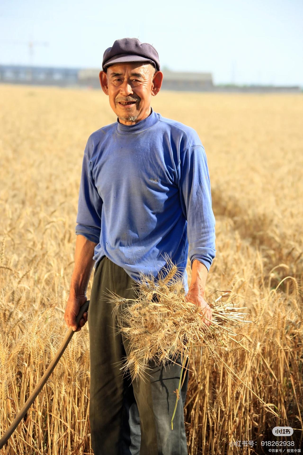 当然不丢人，农民是最值得尊重的职业之一。

农民用劳动耕耘土地、生产粮食，保障着