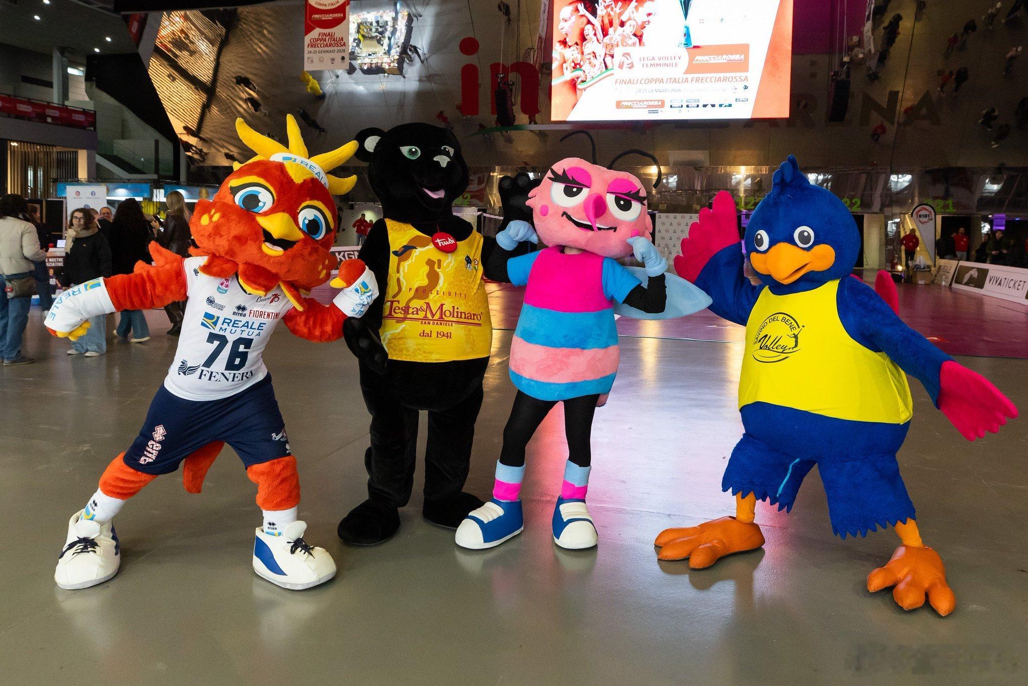 意大利女排杯赛四强球队吉祥物你更喜欢哪个？世界女排新闻 蚊子、黑豹、鸟 