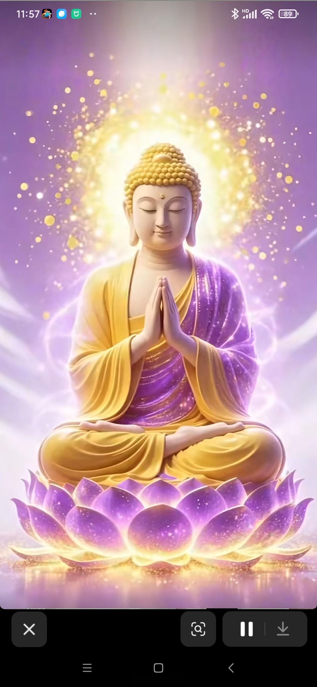 虔诚礼佛，必得佛祖护佑，愿佛光普照每一位祈愿者， 身体健康，家庭幸福！菩萨保佑我