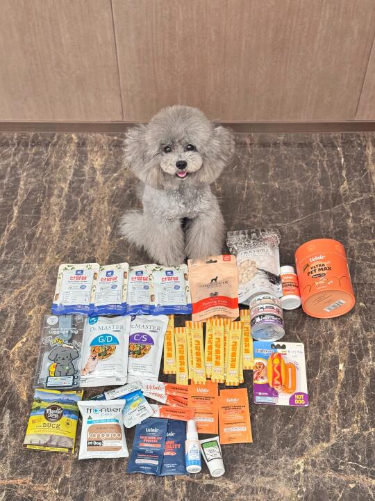 香港优质宠物用品展结算