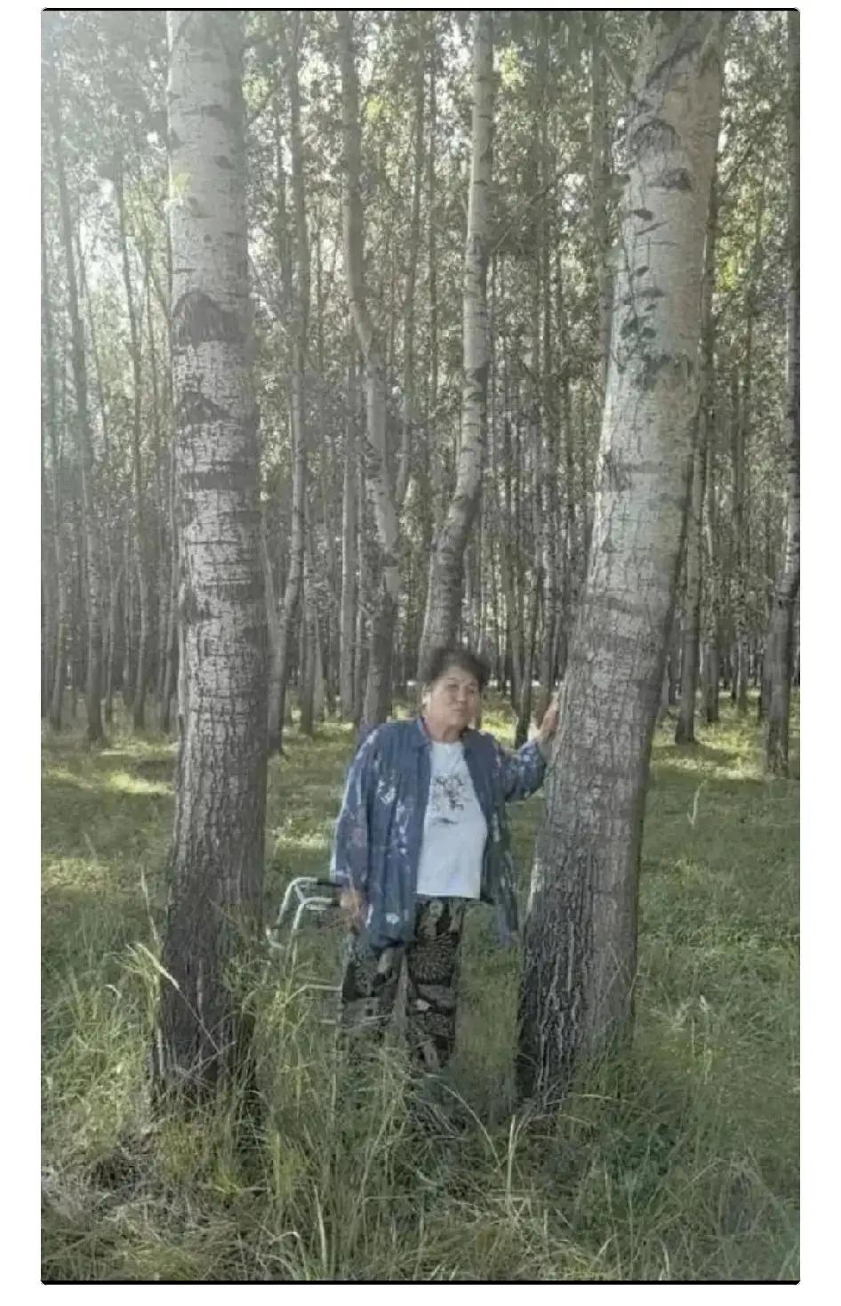 有关林业部门应该给王老太太足额补偿
近日黑龙江齐齐哈尔农户王桂菊反映，23年前，