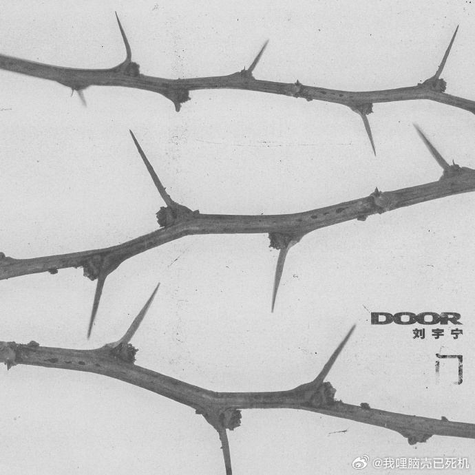 刘宇宁心里那道门刘宇宁心里那道门忘了密码不想找回 刘宇宁心里那道门，忘了密码不想