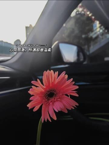 🐈⸙ ﭢ“换个角度看风景，你会发现美无处不在。换个心情看人生，你会发现其实快乐
