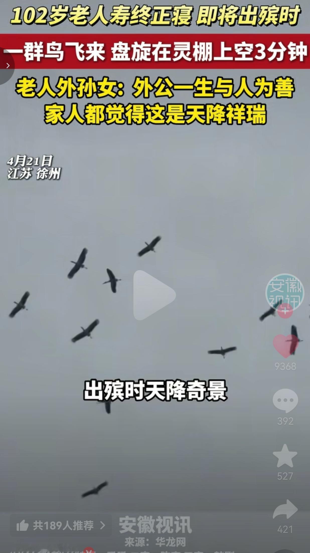 102岁老人出殡，一群鸟盘旋灵棚上空3分钟，这一幕看哭无数人
 
说真的，江苏徐