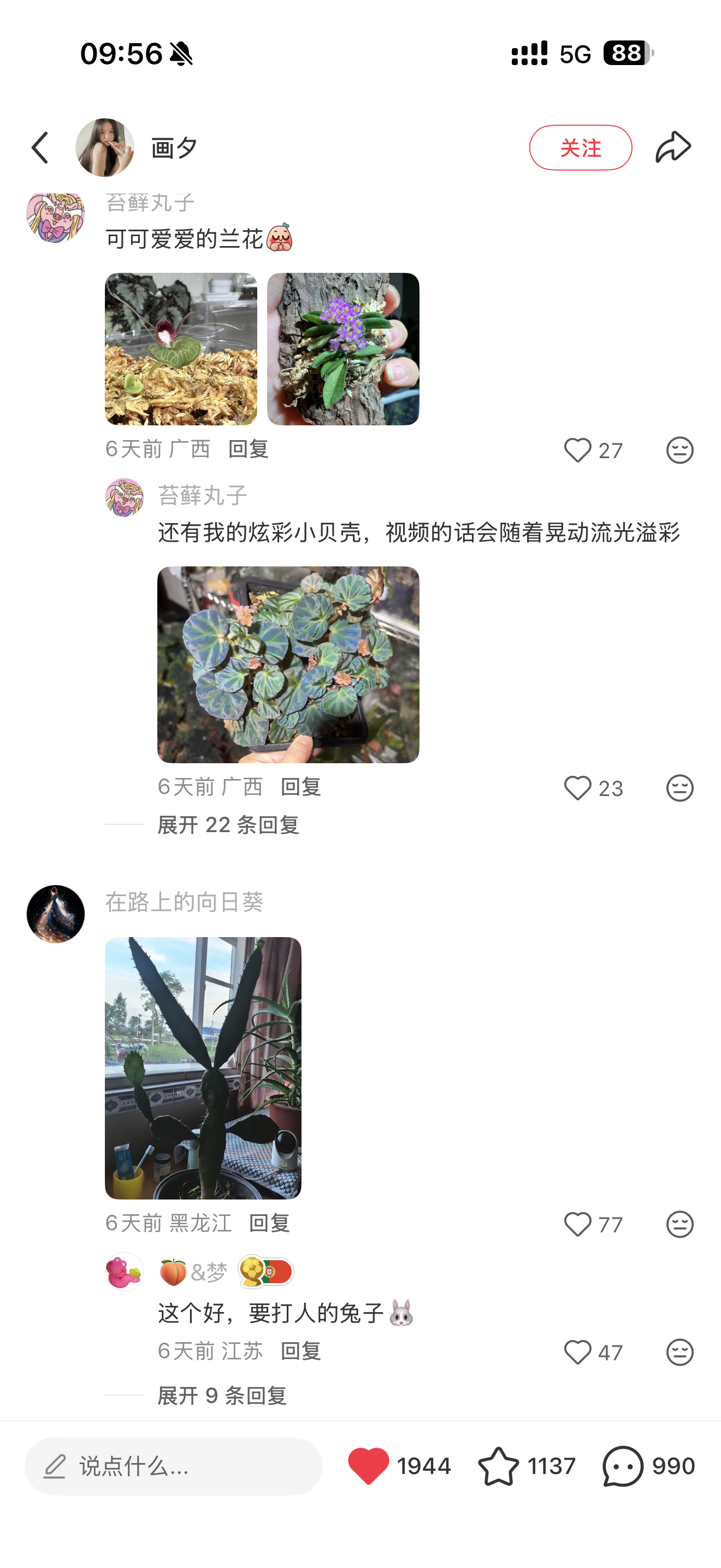 好好玩的奇花异草啊哈哈哈哈哈哈哈 