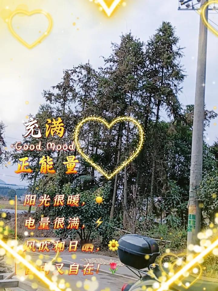 早上晨跑空腹跑还是饭后跑