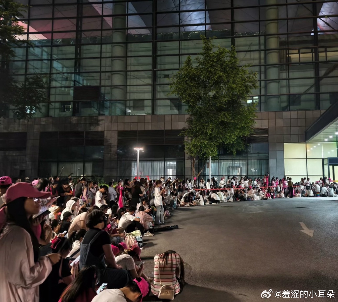 这大半夜的，热巴粉一边线下接机安慰热巴无缘白玉兰，一边线上到处黑杨紫的白玉兰视后