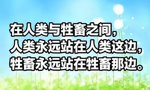 伴侣动物，禁止吸烟，免费卫生巾，这是三套新拳法。