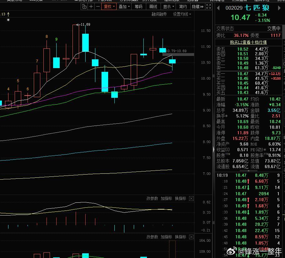 看图说话：总感觉七匹狼这里缺一个反包啊A股