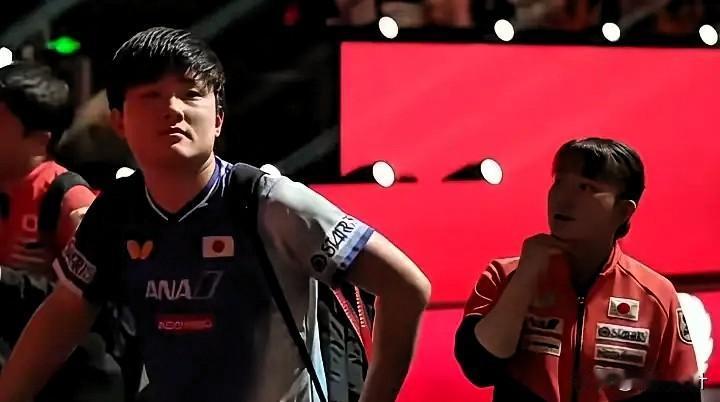 张本智和昨天赢了中国香港队，立马支棱着耳朵等掌声，结果全场观众异口同声喊：“香港