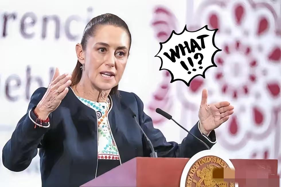 人善被人欺，马善被人骑。
​这次墨西哥给了中国一个很好的机会，
墨西哥这次是铁了