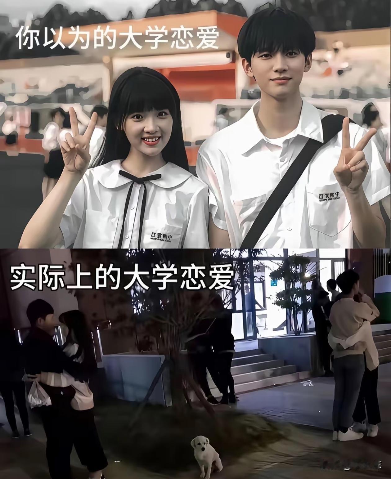 真的是这样吗