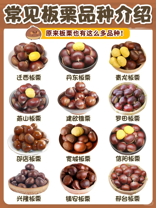一张图看懂板栗🌰12种常见板栗品种图鉴‼️