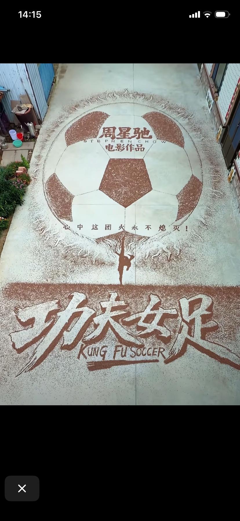 高手在民间
看照片上的关于《功夫女足》的“画”…
这是山东一位农民用稻谷创作出来