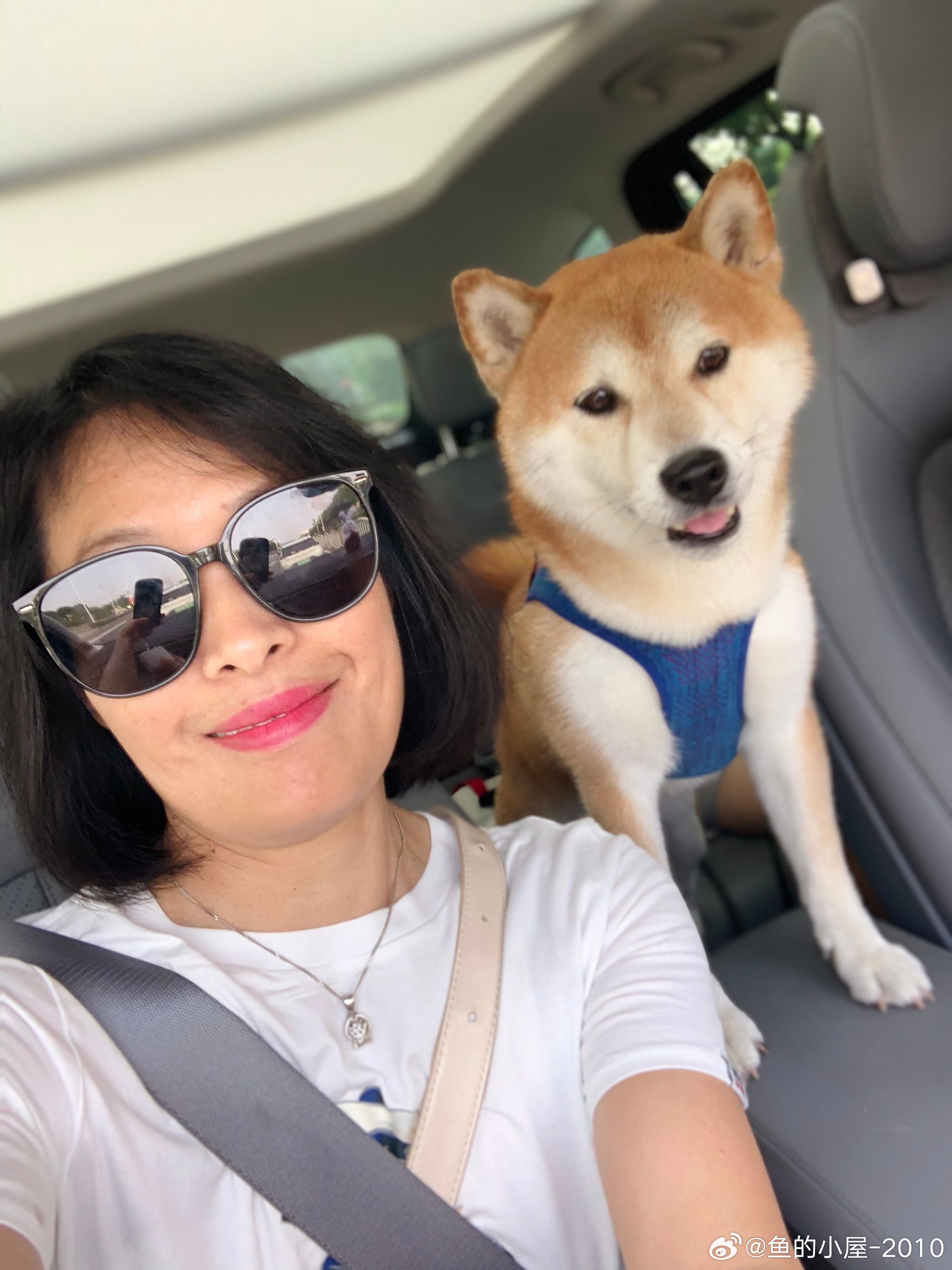 下的了手系列和下不了手系列实体店买得酣畅淋漓羽毛球馆打得一身是汗生活中还有喜爱之