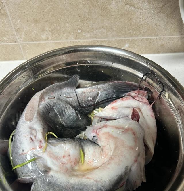 37块买的江团，回家处理完才2.2斤，这损耗是不是太大了？

买的时候3斤多一点