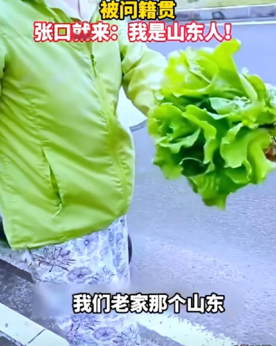 丢人现眼！海南海口，两位外地大妈路过一家菜园时停下偷菜，被人发现后，不但没有悔意