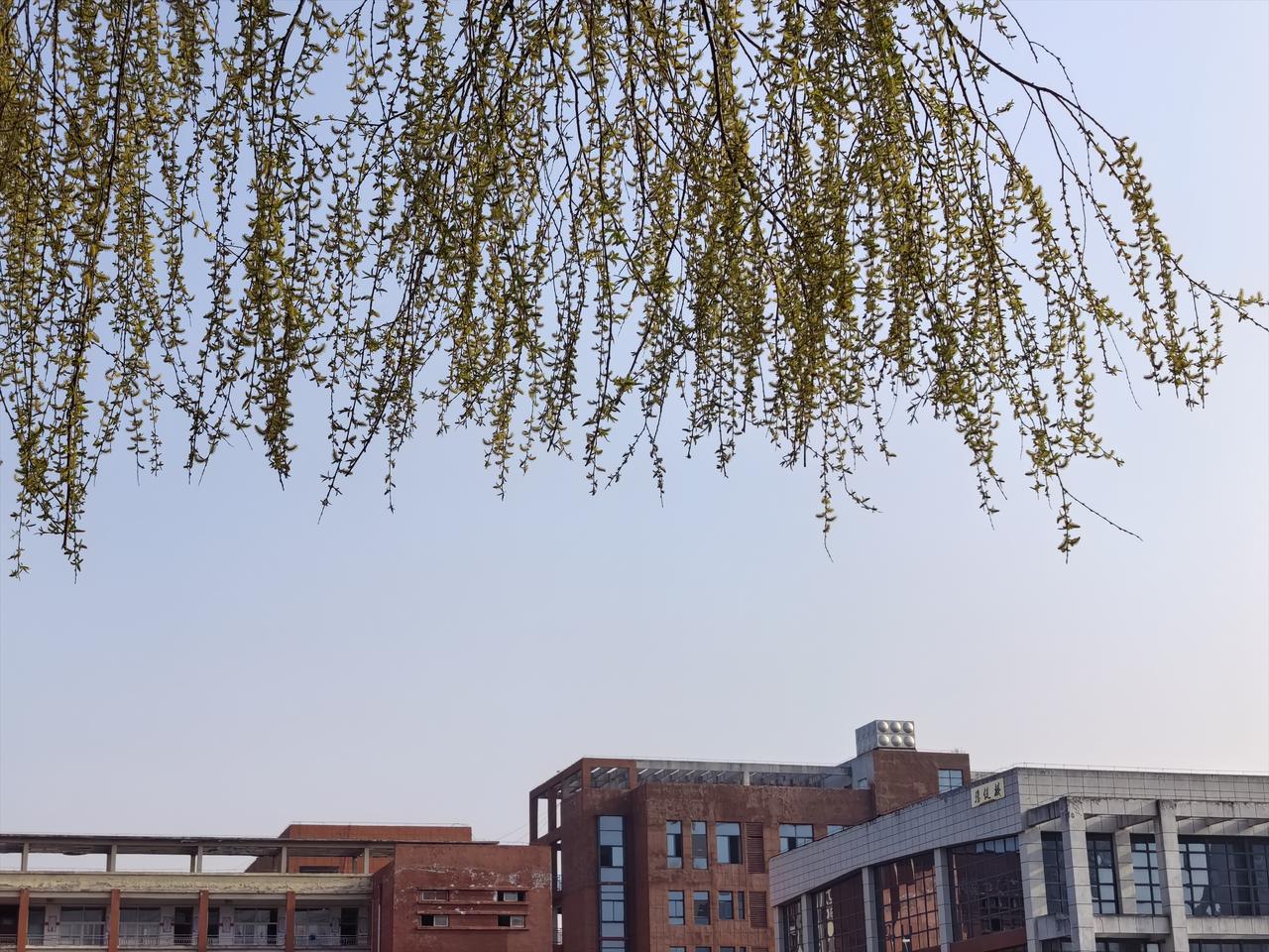 哎！于老师开学最大滴感悟：把教育上，某些大小领导都换成机器人[灵光一闪]
   