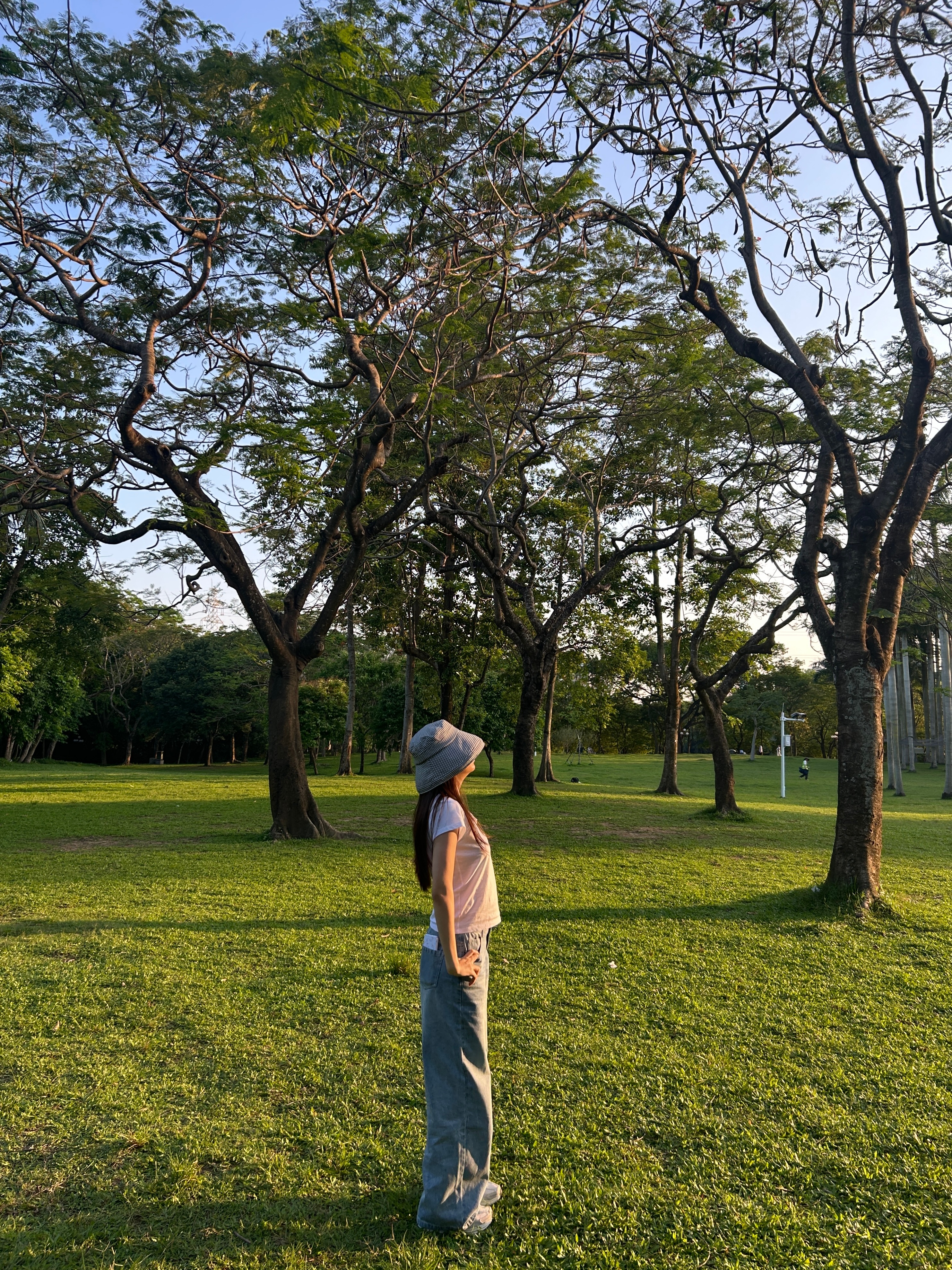 今天的天气好的像北方的晴天 风也柔柔的光也柔柔的～所以要快快换上一双舒服的鞋子 