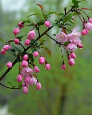 周三盘后突传重磅信息，周四看盘要点深度探讨！
周三盘后重磅消息如下：
一、据媒体