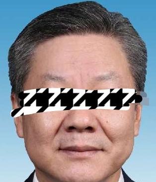 华哥有结果了，2023.2开始管政法，2024年最后一个季度官宣。

宣判之前，