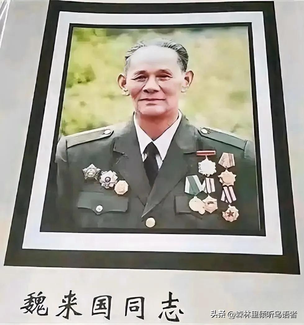 1946年，兰格庄阵地，神枪手魏来国击毙70多个敌人后，被敌人一枪“诱”出战壕，