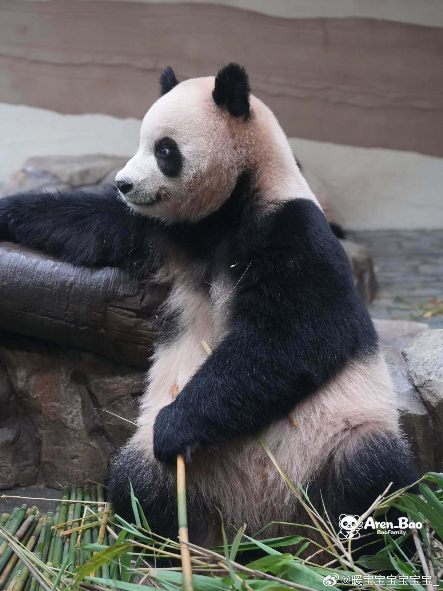 每天早起打卡早安安！（忘记了） 