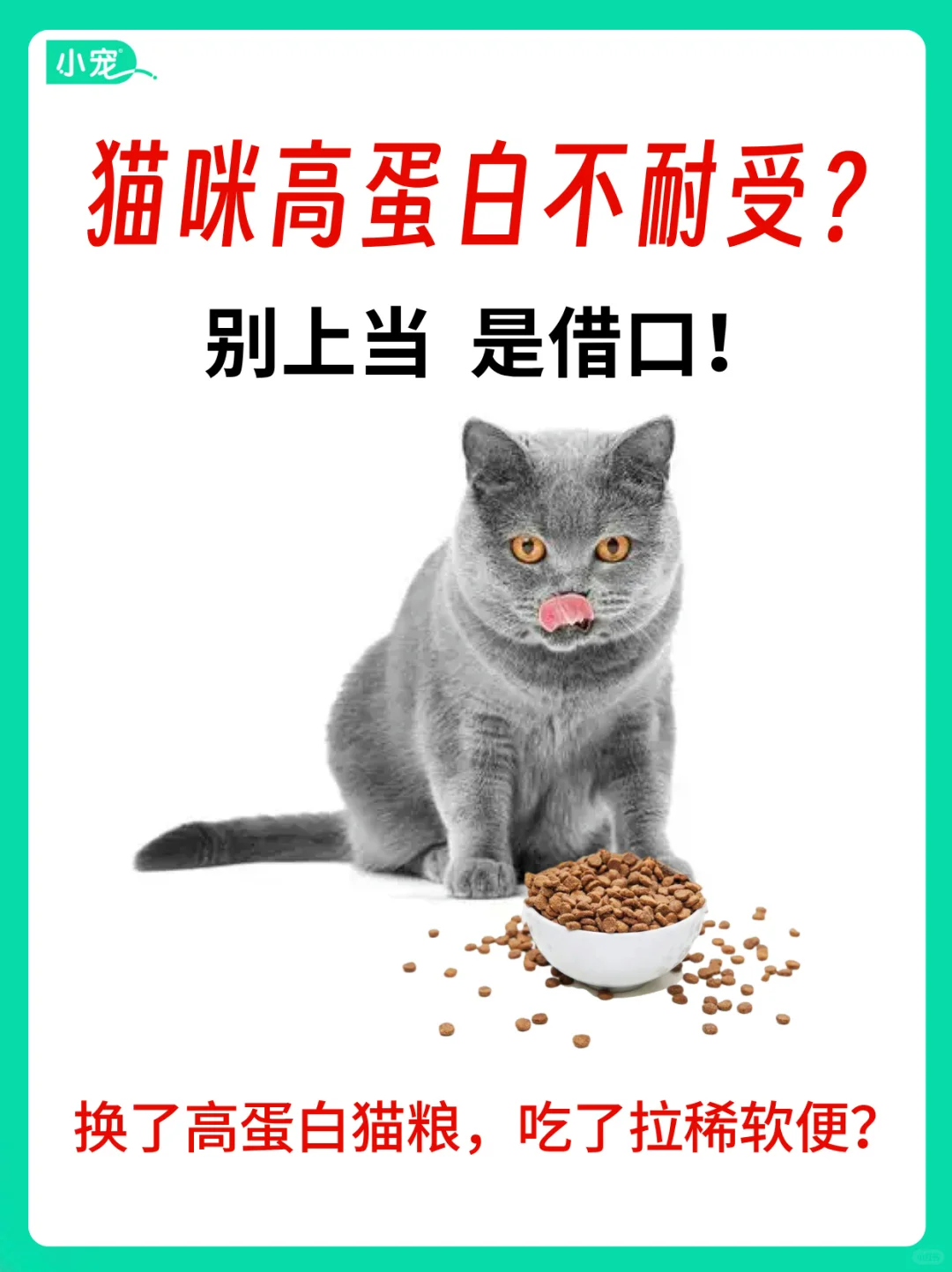 猫咪吃高蛋白猫粮真的不耐受吗？