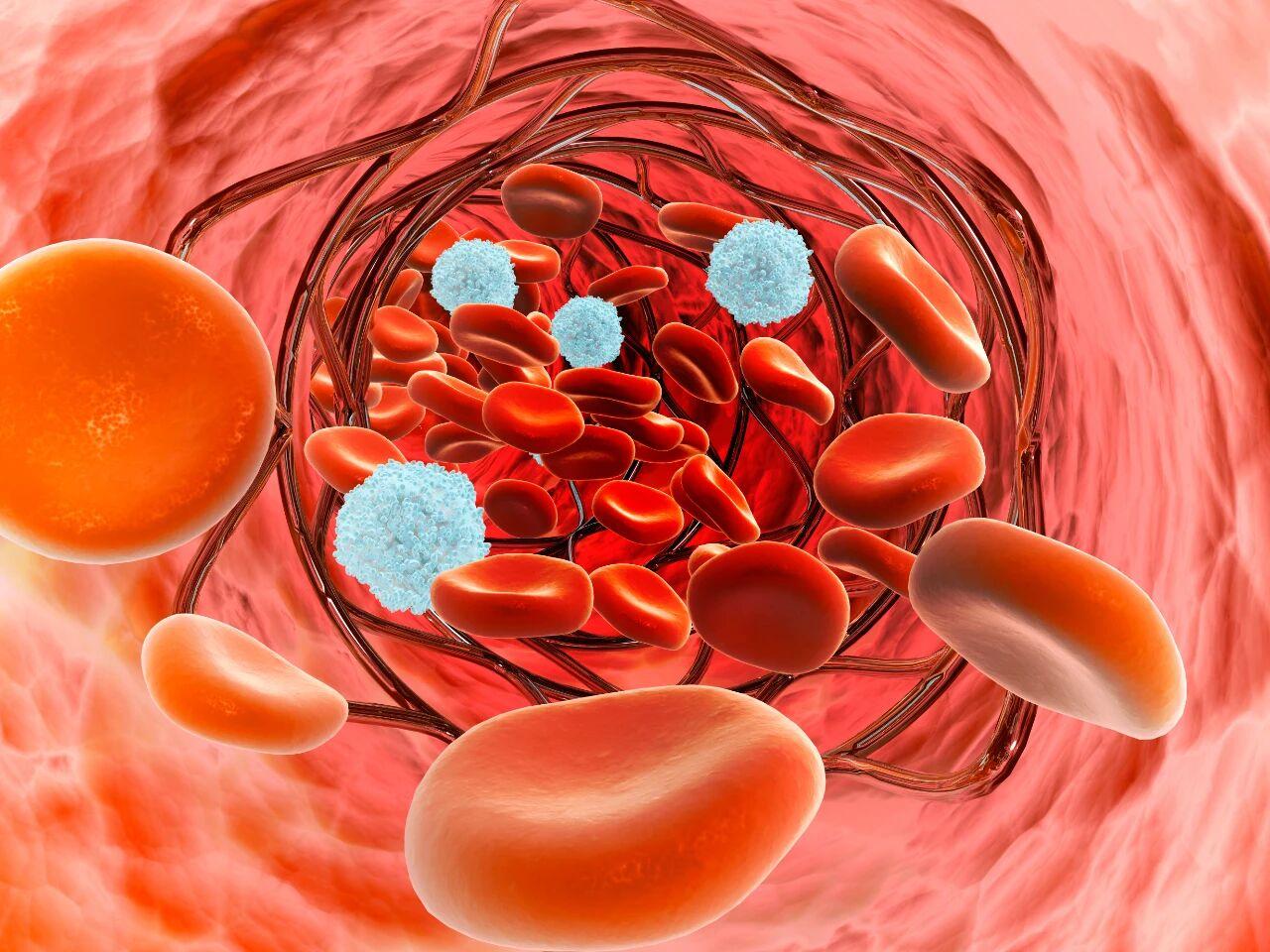 血液病不会无缘无故找上你！这4个原因，你一定要知道！

✅1、遗传因素 —— 某