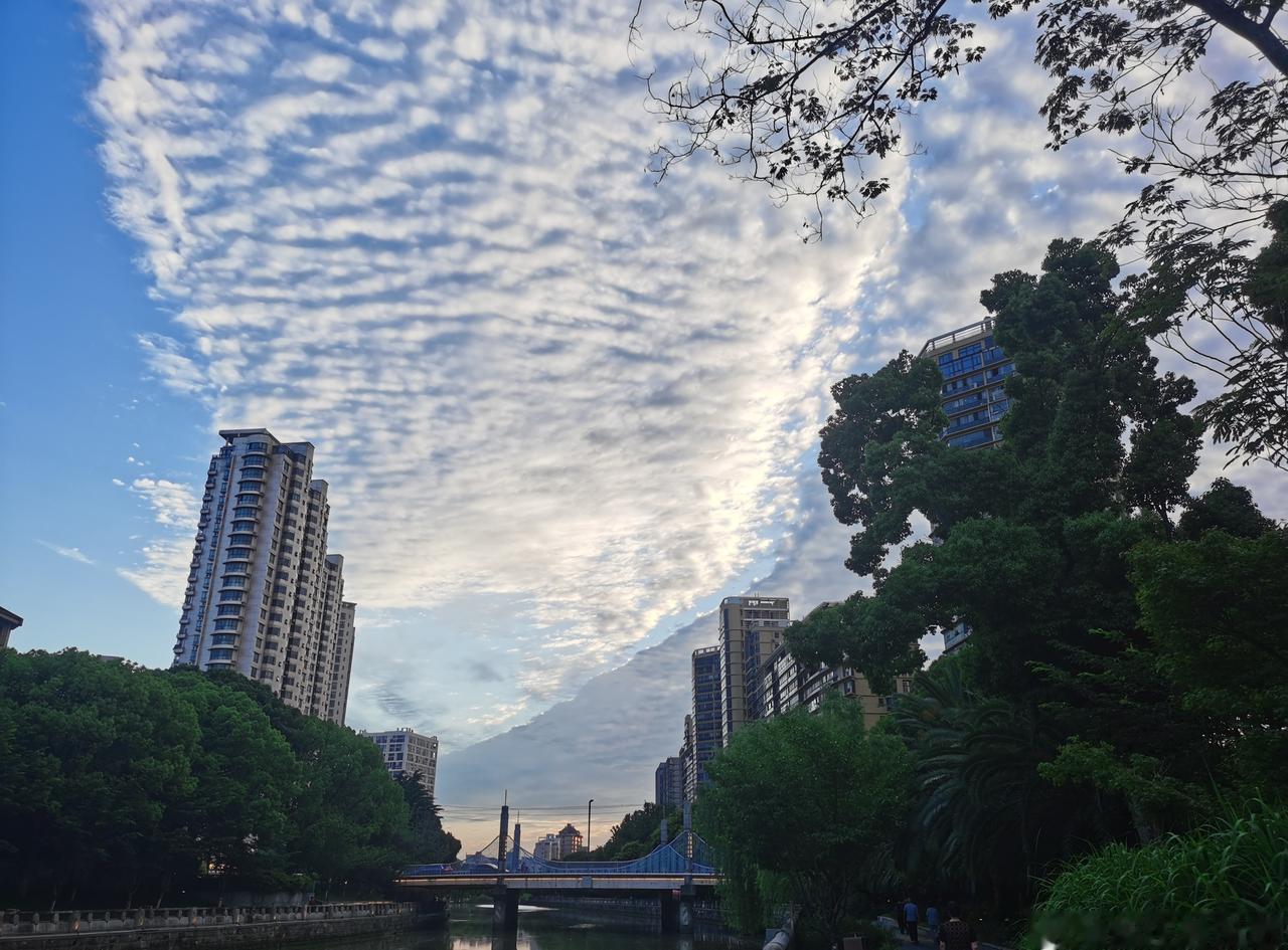 今日天气：蛮好