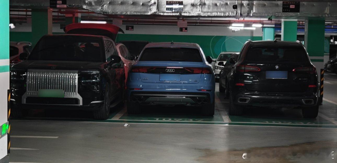 小小两只，都别上车