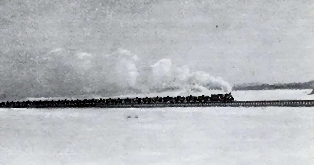 1943年2月7日清晨，一列火车满载800吨黄油，顶着德军阵地仅几公里外的炮火，