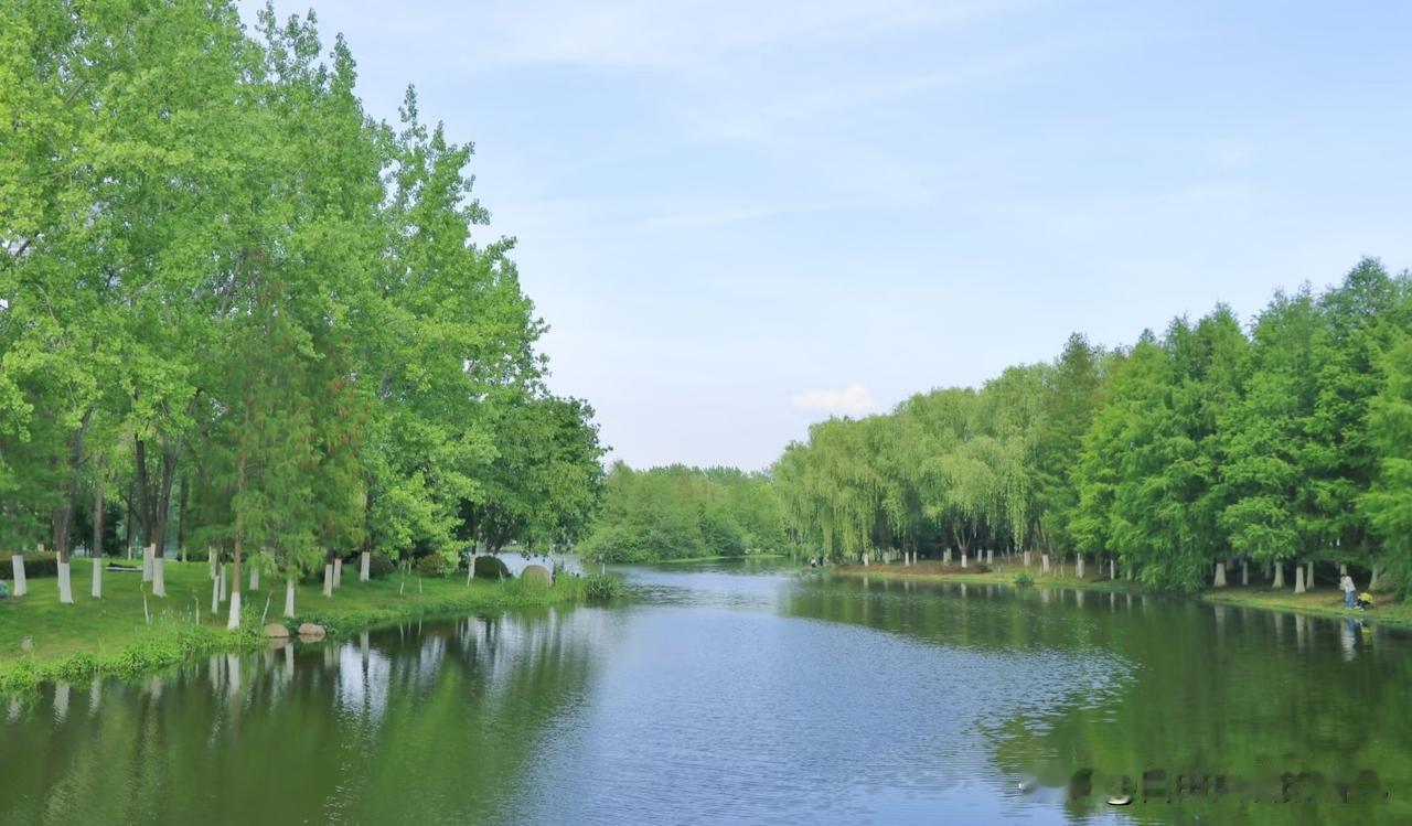 不知你是否和我有同样的感受，这几天大盘连连大涨，按理说我们股民理应满心欢喜，可我