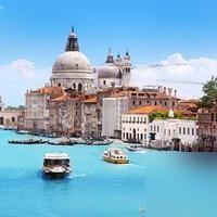 上海市退休金的基本行情如下：
​
金牌老人退休金10000元以上
​
银牌老人退