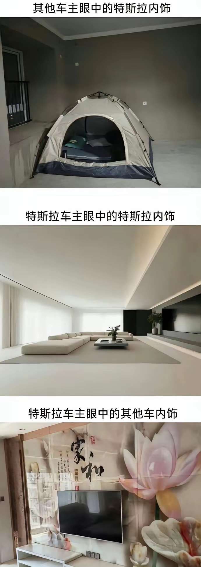 特斯拉车主真的是这样想的吗？